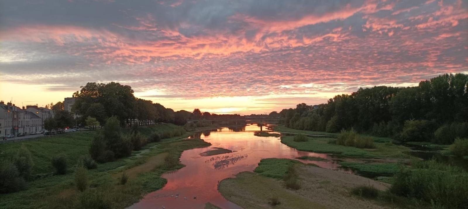 Cosy Loire, T2 Neuf, Front De Loire ,Vue Cathedrale,5Min A Pied Centre Ville Et Parking Prive Orléans Buitenkant foto